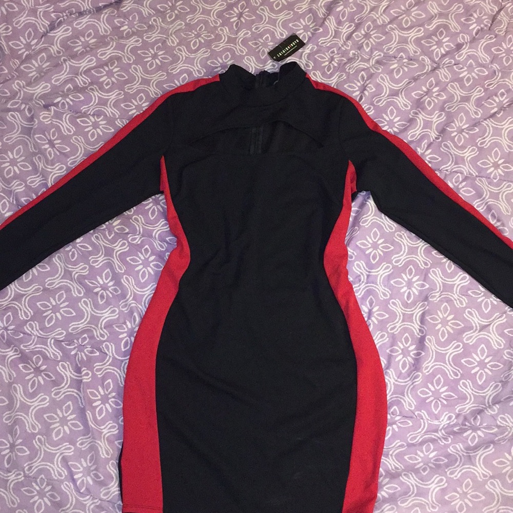 Plus size Davis color block dress